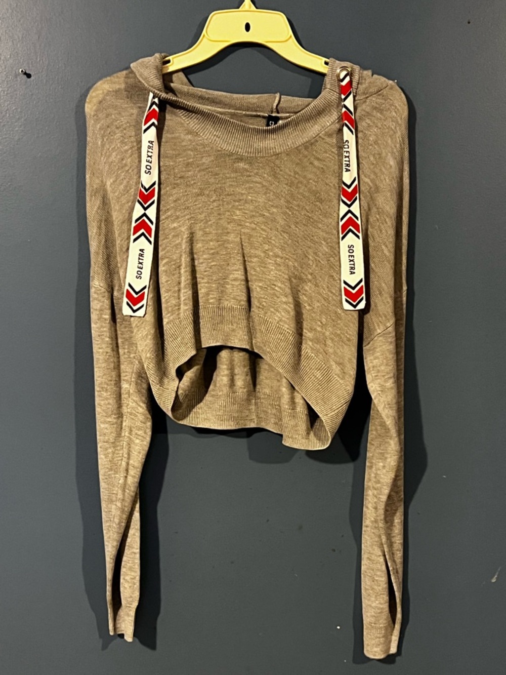H&M Taupe Cropped Hooded Pullover with Printed Drawstrings